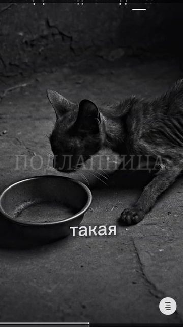 Преданность.