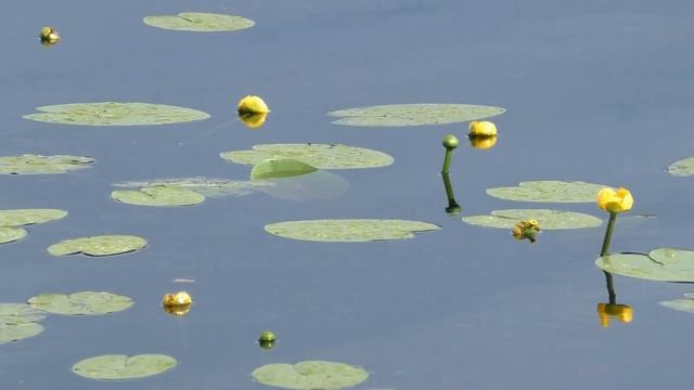 клип Уголок России