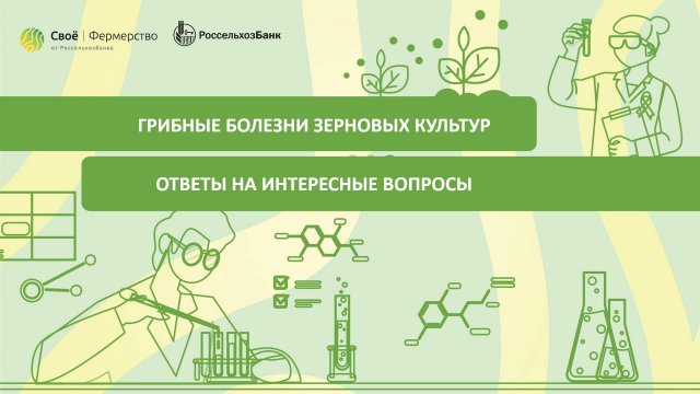 Грибные болезни зерновых культур: ответы на интересные вопросы