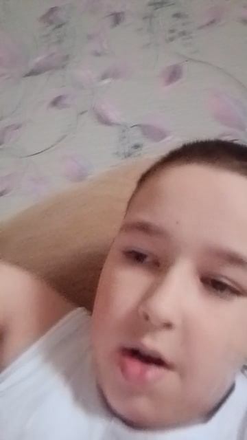 моя собака