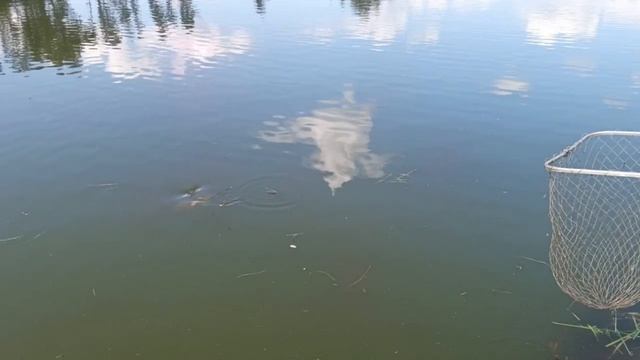 1000085315.mp4