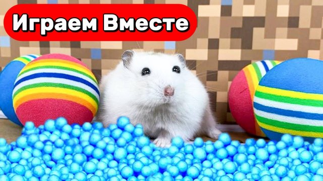 Приключения хомяка в опасном лабиринте! Преграды, ловушки и побег из лаборатории 🐹