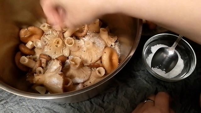 засолка волнушек холодным способом