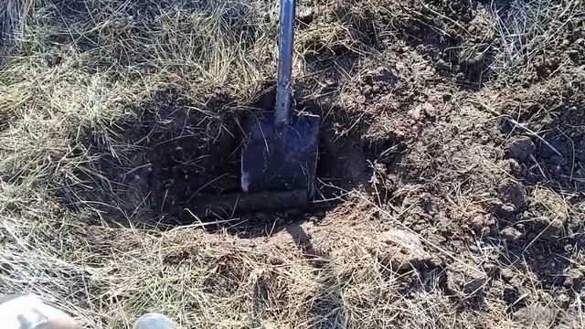 Металлокоп. Цена на металл весной 2025 года. Стоит ли коп