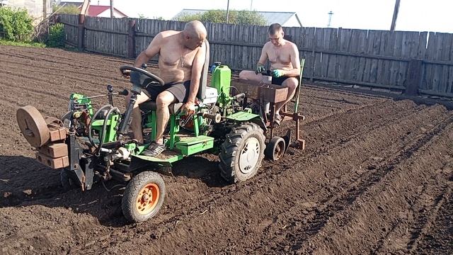 посадка картошки 2025