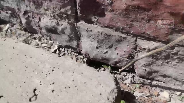 Новости Кирова 04.06.2025
