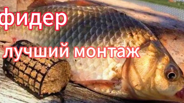 Фидер- лучший монтаж. Самый простой и быстрый фидерный монтаж.