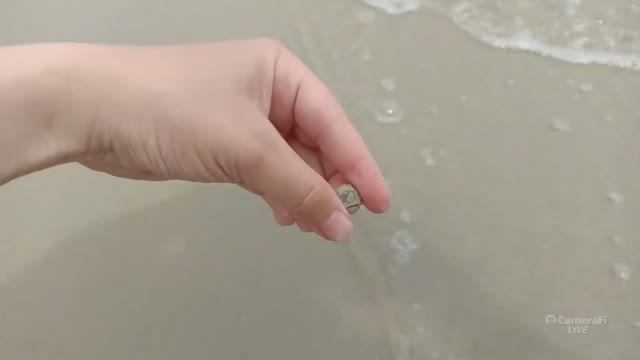 Светлогорск сегодня 17.06.2023. Балтийское море.