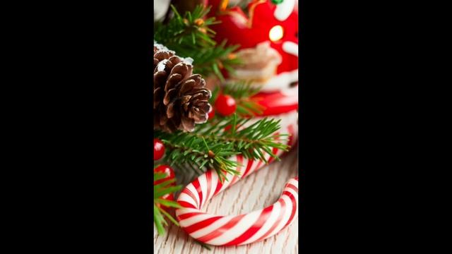 Christmas 🎄⛄