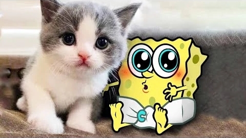 Мультики для детей. Яркие Мультики . Детские мультики для малышей смотреть