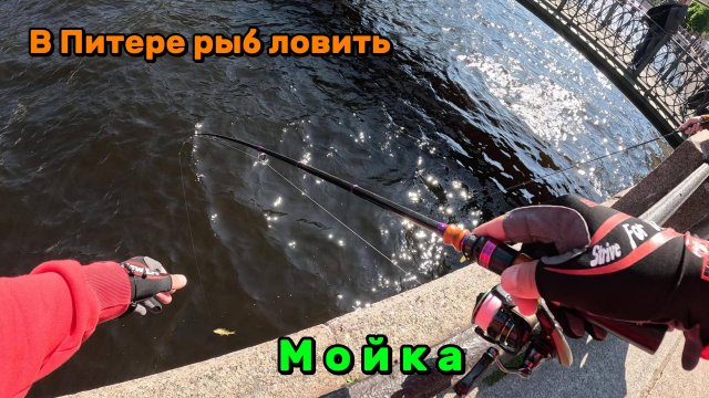 В Питере рыб ловить. Рыбалка в центре города. Река Мойка
