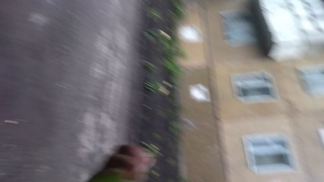 1000037063.mp4