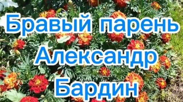 Александр Бардин бравый парень из Мордовии