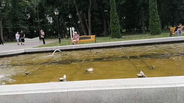 Фонтан просто загляденье