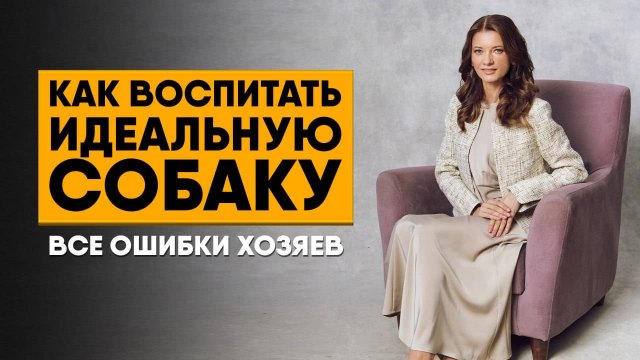 День зоопсихологии в Московском институте. «Мир глазами животного: среда, комфорт и безопасность»
