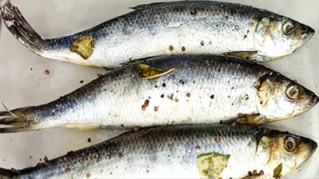 Как засолить СЕЛЕДКУ целиком в домашних условиях (два способа)! Невероятно вкусная РЫБКА!