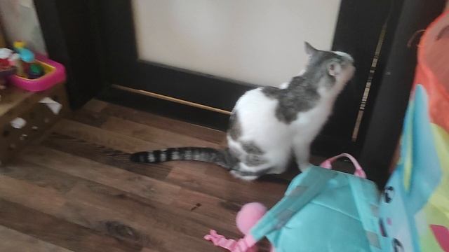 Сказка и песня Маруси