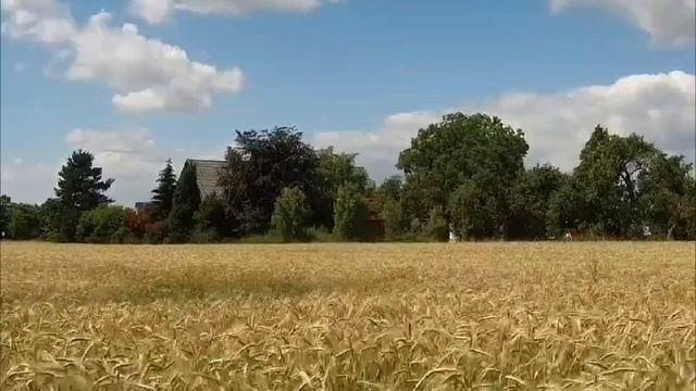 Земля моя. Авторские стихи.