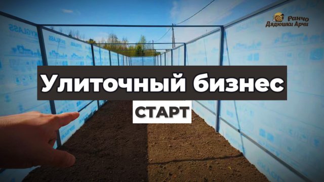Улиточная ферма с нуля: Бизнес на улитках! 🐌 Старт