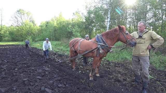 ВАС УДИВИТ КАК ЖИВУТ ЛЮДИ в ГЛУХОЙ БЕЛАРУССКОЙ ДЕРЕВНЕ. №347