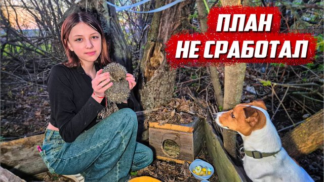 Все старания зря | Орловская обл, Колпнянский р/н д.Удеревка