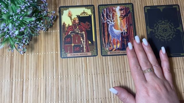 Ваши ожидания и реальность 🍏🍏🍏Расклад на картах Таро🍏🍏🍏