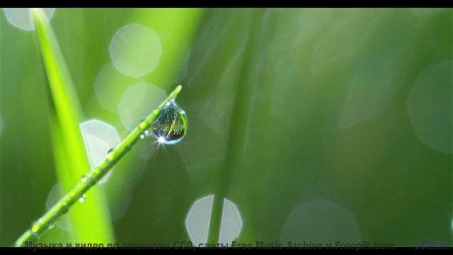 Пейзажи и ритмы пробуждают внутри скрытые силы - Leading Me On -- Derek Clegg -- Man on the Run