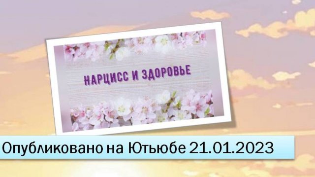 Нарцисс и здоровье (фрагменты эфира от 21.01.2023)