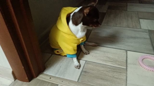 Просто посидеть: моменты спокойствия