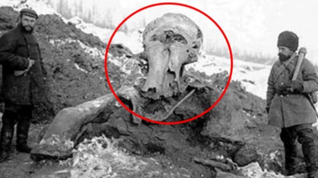 ⚡ История ПИ: теория КАТАСТРОФ, фильм ЛЁД - 1 часть