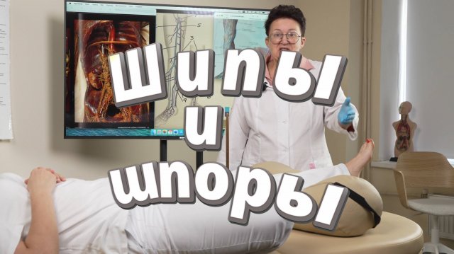 Озадачились вдруг Вы у Вас вновь растут шипы а еще и шпоры - о них лишь разговоры?