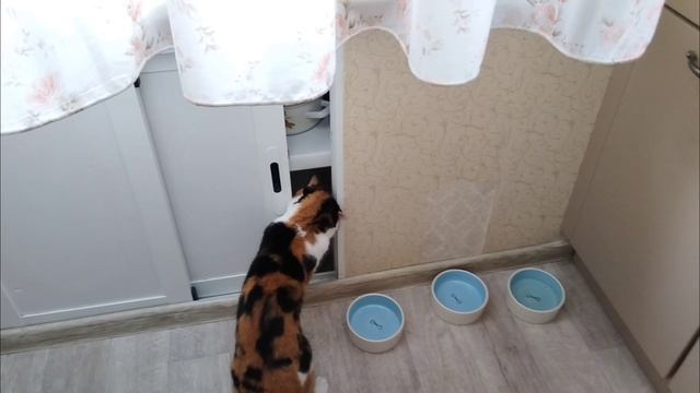 Это Масенька наша скучает 😆