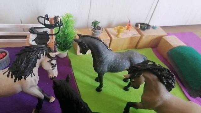 Вызов - принят. Лошади шляйх. Видео