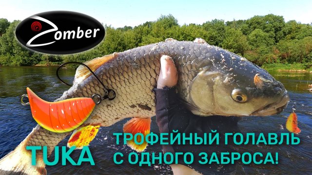 Первые трофеи лета 2025. Голавль перекатов Черноземья. Уловистые проводки кайта ТУКА