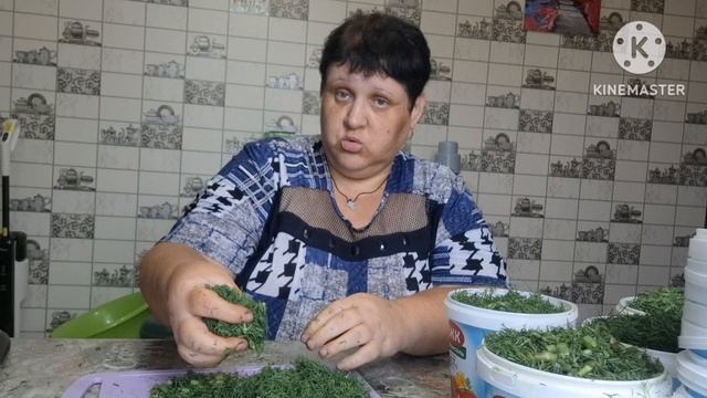 заготовила целый таз укропа.