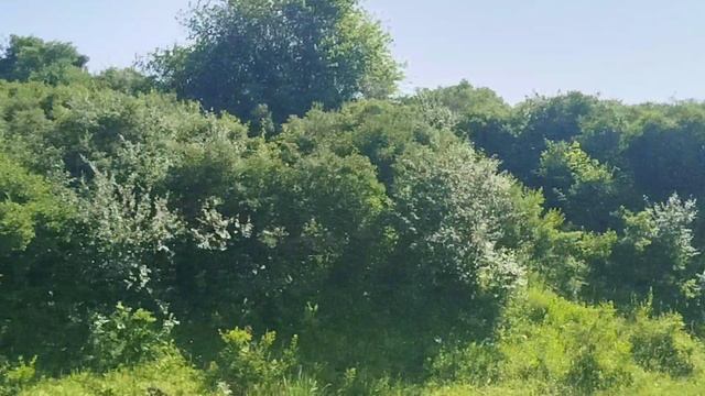 VID_20250618_160024.mp4