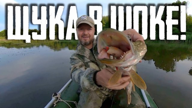 💀 БЮДЖЕТНЫЙ ВОБЛЕР и САМОДЕЛКА УНИЧТОЖАЮТ бренды! Ловля ЩУКИ в жабовнике! 🔥🤯🔥