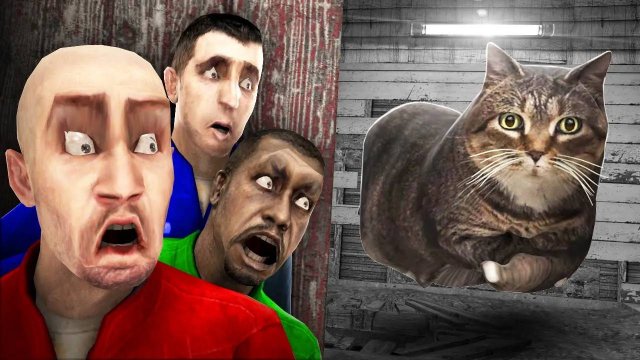 OIIA OIIA! ОИИАИОИИАИ КРУТЯЩИЙСЯ КОТ ОХОТИТСЯ НА НАС! УГАР И БЕЗУМИЕ В Garry`s Mod