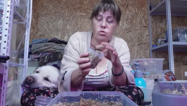 Пересадка орхидей с Любимым