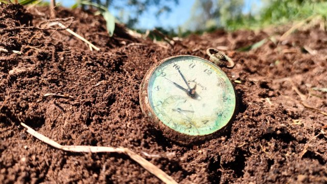 Редкая находка на шурфе