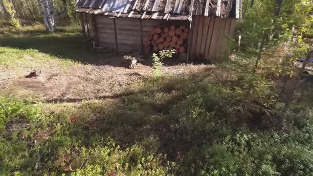НАШЁЛ ИЗБУ В ТАЙГЕ И ОБАЛДЕЛ. СПРЯТАННАЯ ИЗБУШКА ПРОФЕССИОНАЛА. НАСТОЯЩЕЕ ЗИМОВЬЕ В ДИКОЙ ТАЙГЕ