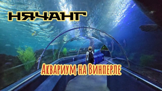 Винперл, океанариум в Нячанге, рыбы гиганты.