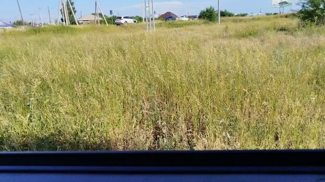 VID_20250623_181452.mp4