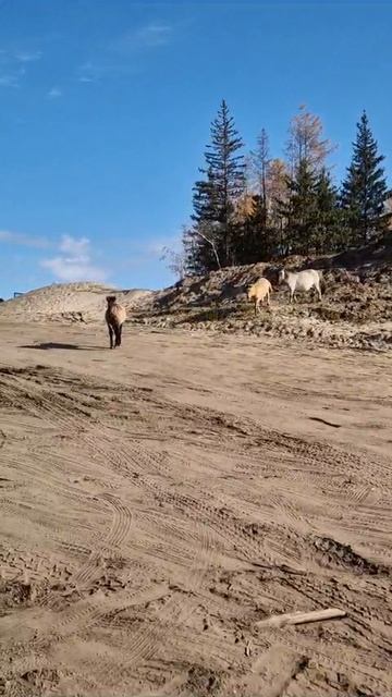 Якутск
