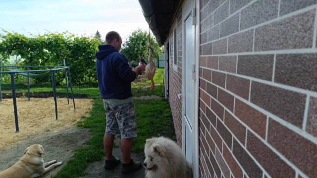 ВСЕ ПРОТИВ НАС,РУКИ ОПУСКАЮТСЯ/ЗАРАБОТОК В ДЕРЕВНЕ/КУПИЛА ОБУВНИЦУ