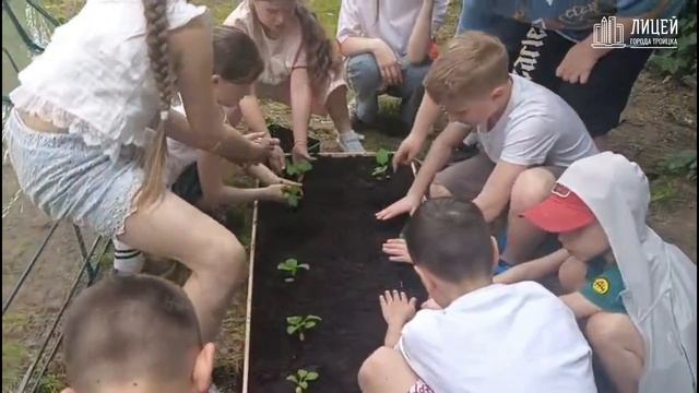 Летняя образовательная смена Лицея. 2025