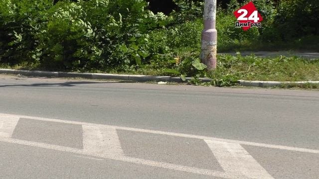 «Автолюбители не могут понять, двойная или нет»