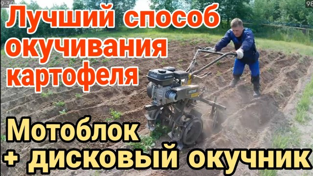 🔥Лучший способ окучивания картофеля - мотоблок Hüter с ДИСКОВЫМ ОКУЧНИКОМ. Результат потрясающий‼️