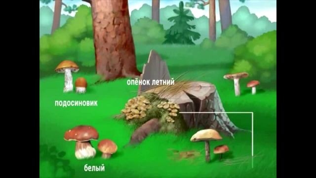 Правила безопасности для детей. На природе, в городе, при пожаре. Обучающий мультфильм