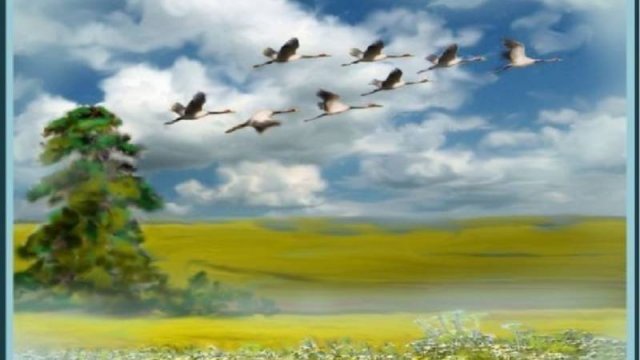 Ах как хочется жить